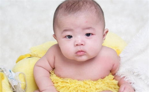 张姓女孩子取名
